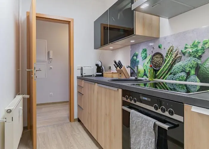 Daire Altstadtapartment, 80 Qm,2 Schlafzimmer,parkplatz,netflix *